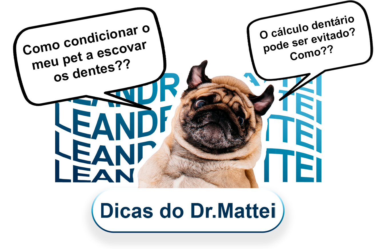 CURIOSIDADE-ICONE-HOME